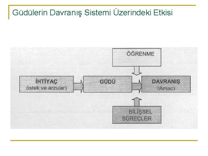 Güdülerin Davranış Sistemi Üzerindeki Etkisi 