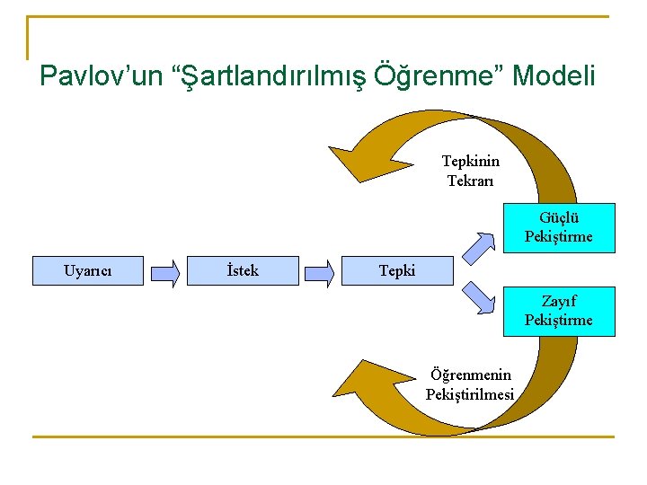 Pavlov’un “Şartlandırılmış Öğrenme” Modeli Tepkinin Tekrarı Güçlü Pekiştirme Uyarıcı İstek Tepki Zayıf Pekiştirme Öğrenmenin