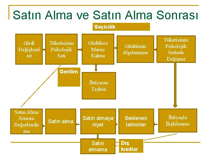 Satın Alma ve Satın Alma Sonrası Seçicilik Girdi Değişkenl eri Tüketicinin Psikolojik Seti Güdülere