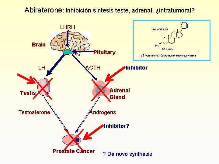 Abiraterone: Inhibición síntesis teste, adrenal, ¿intratumoral? LHRH N MW = 391. 55 Brain RO