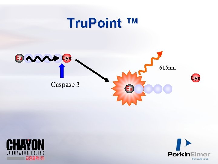 Tru. Point ™ Eu Dye 615 nm Caspase 3 Dye Eu 