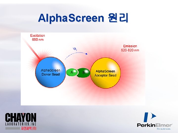 Alpha. Screen 원리 