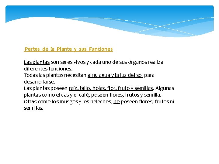  Partes de la Planta y sus Funciones Las plantas son seres vivos y