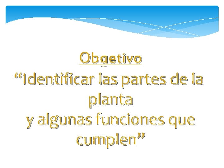 Obgetivo “Identificar las partes de la planta y algunas funciones que cumplen” 