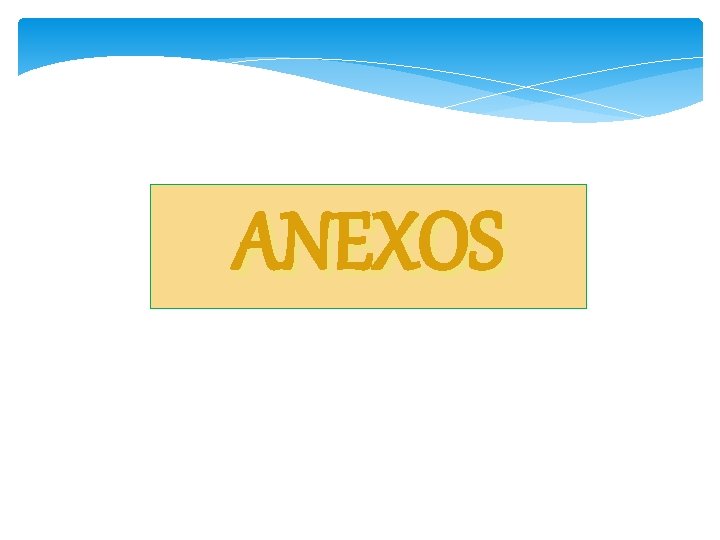 ANEXOS 