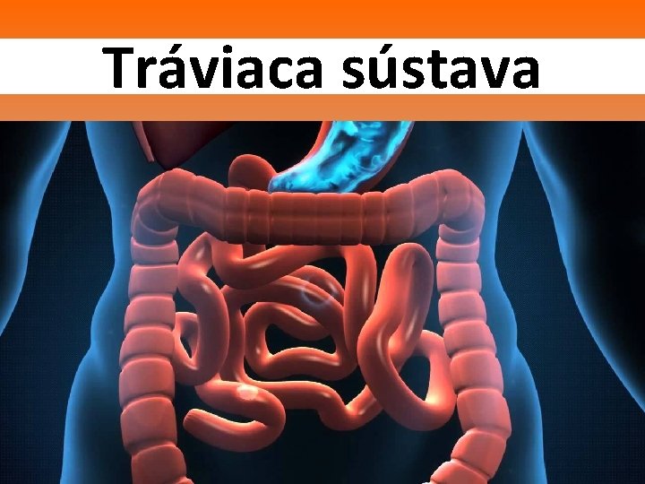 Tráviaca sústava 
