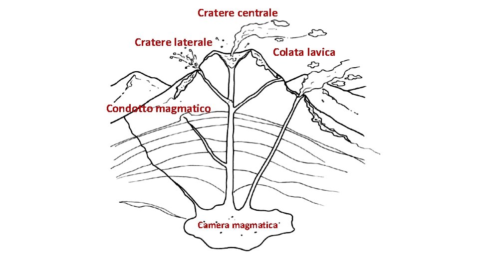 Cratere centrale Cratere laterale Colata lavica Condotto magmatico Camera magmatica 