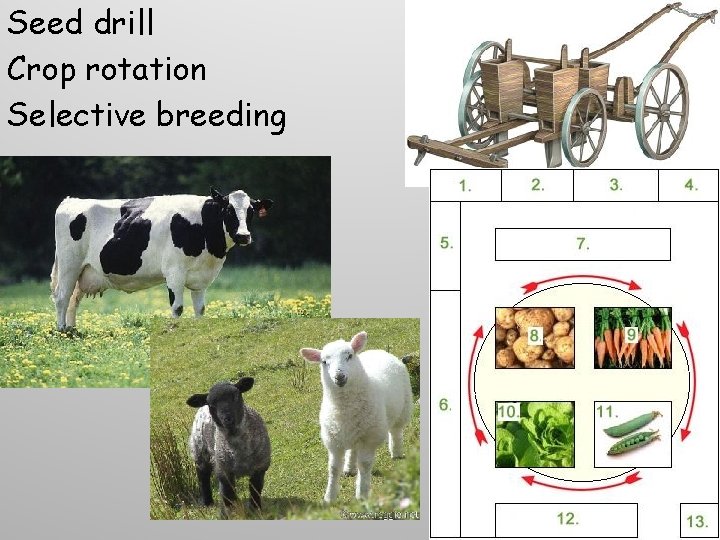 Seed drill Crop rotation Selective breeding Seed drill Crop rotation Selective breeding