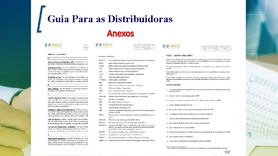Guia Para as Distribuidoras Anexos 