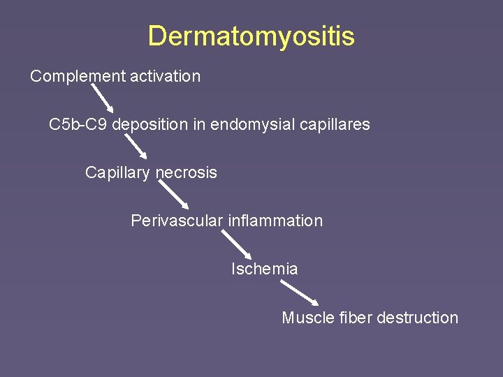 Dermatomyositis Complement activation C 5 b-C 9 deposition in endomysial capillares Capillary necrosis Perivascular