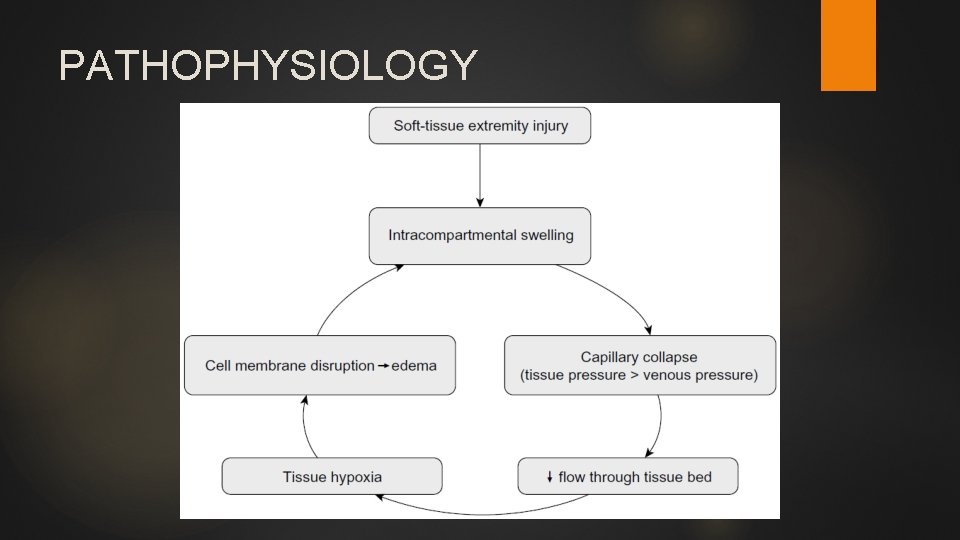 PATHOPHYSIOLOGY 