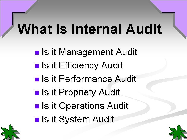 What is Internal Audit n Is it Management Audit n Is it Efficiency Audit