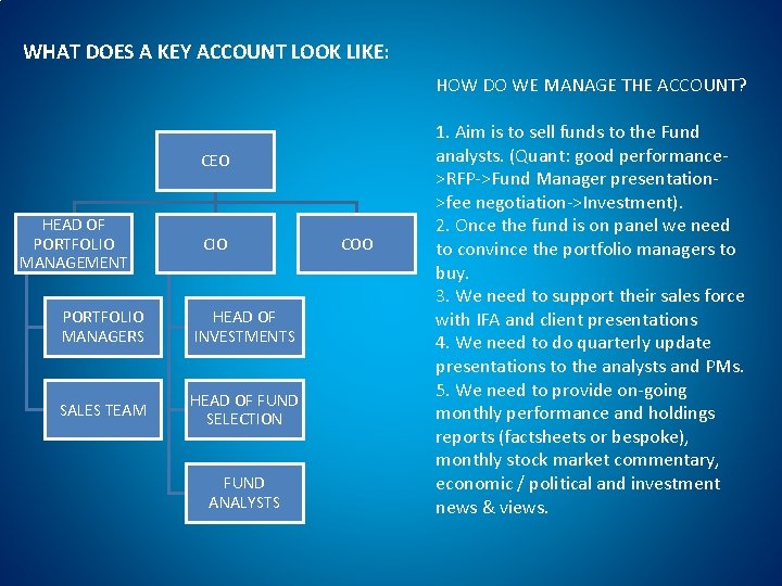 WHAT DOES A KEY ACCOUNT LOOK LIKE: HOW DO WE MANAGE THE ACCOUNT? CEO