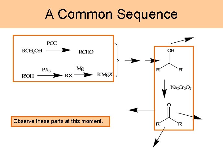 A Common Sequence Observe these parts at this moment. 