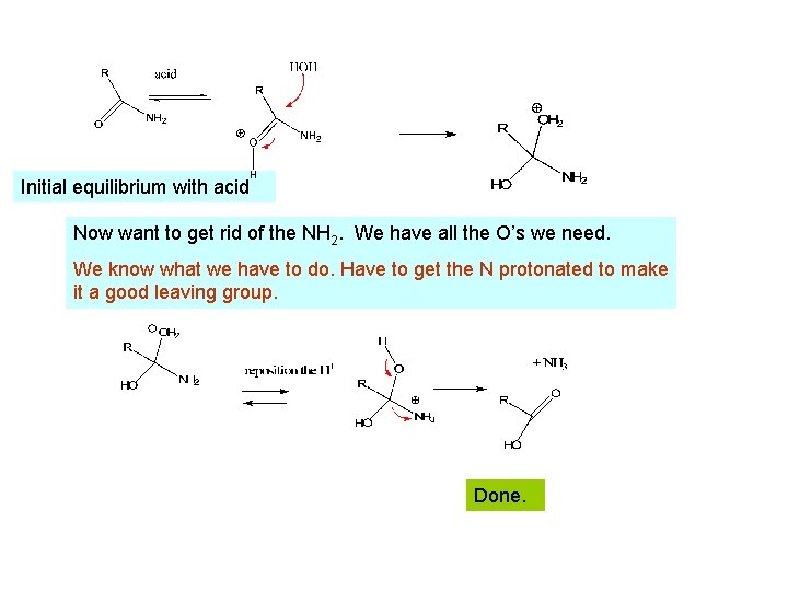 Initial equilibrium with acid Now want to get rid of the NH 2. We