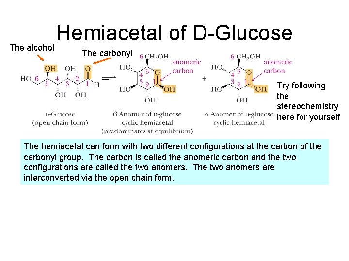 The alcohol Hemiacetal of D-Glucose The carbonyl Try following the stereochemistry here for yourself