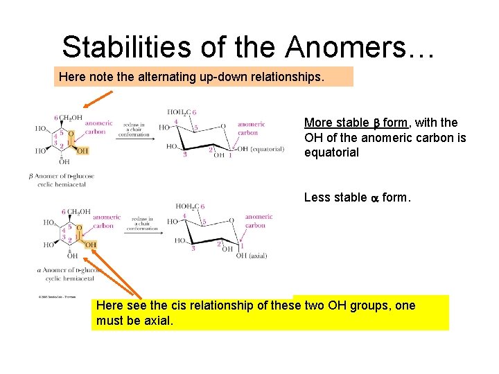 Stabilities of the Anomers… Here note the alternating up-down relationships. More stable b form,