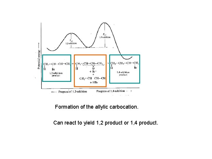 Formation of the allylic carbocation. Can react to yield 1, 2 product or 1,