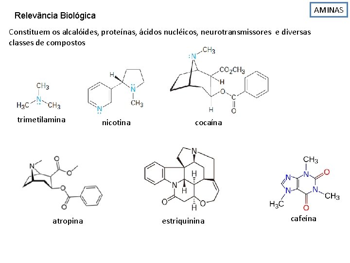 AMINAS Relevância Biológica Constituem os alcalóides, proteínas, ácidos nucléicos, neurotransmissores e diversas classes de