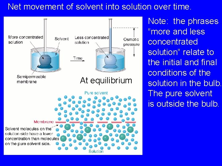 Net movement of solvent into solution over time. At equilibrium Note: the phrases “more