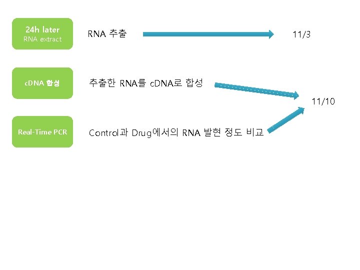 24 h later RNA 추출 c. DNA 합성 추출한 RNA를 c. DNA로 합성 RNA