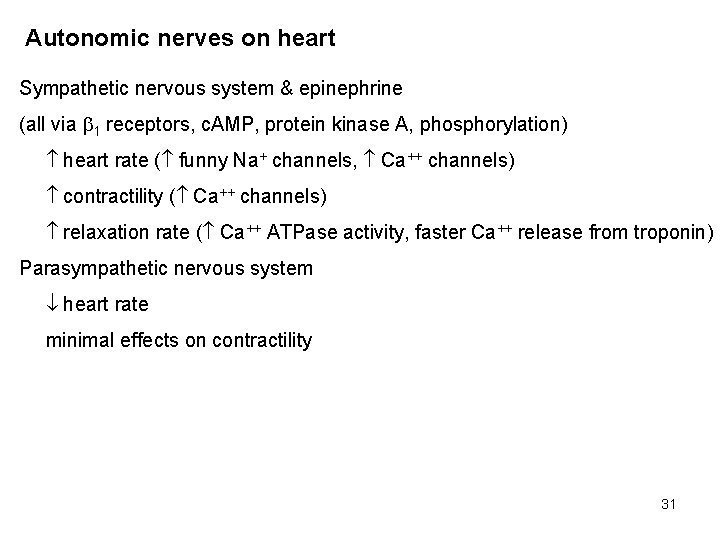 Autonomic nerves on heart Sympathetic nervous system & epinephrine (all via 1 receptors, c.