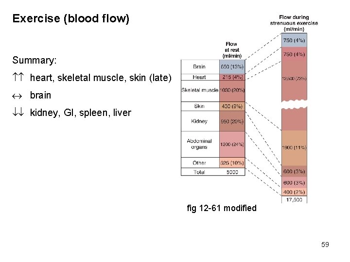 Exercise (blood flow) Summary: heart, skeletal muscle, skin (late) brain kidney, GI, spleen, liver
