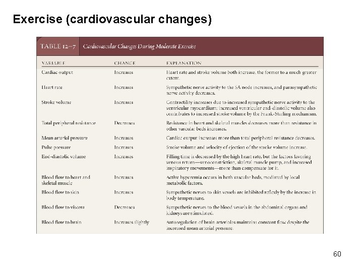 Exercise (cardiovascular changes) 60 