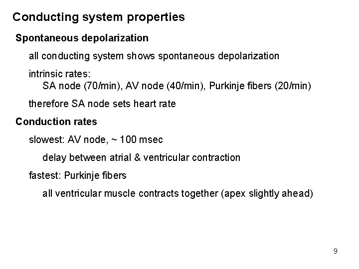 Conducting system properties Spontaneous depolarization all conducting system shows spontaneous depolarization intrinsic rates: SA