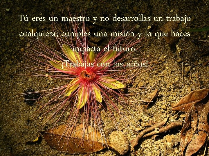 Tú eres un maestro y no desarrollas un trabajo cualquiera; cumples una misión y