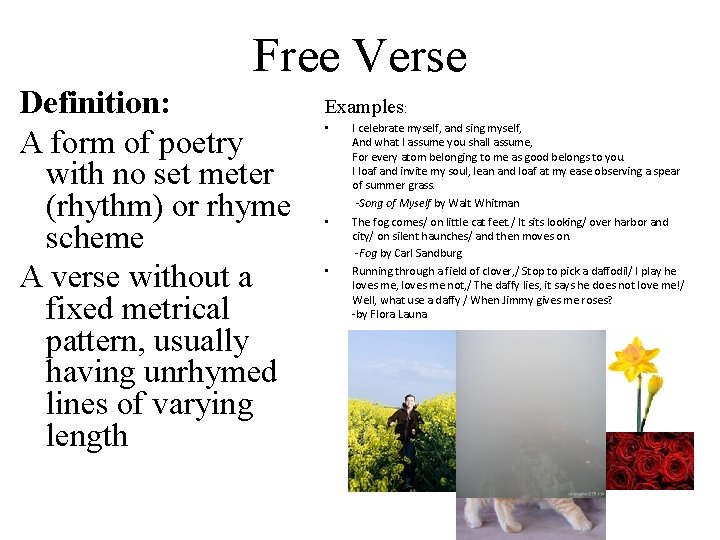 Free Verse Definition: A form of poetry with no set meter (rhythm) or rhyme