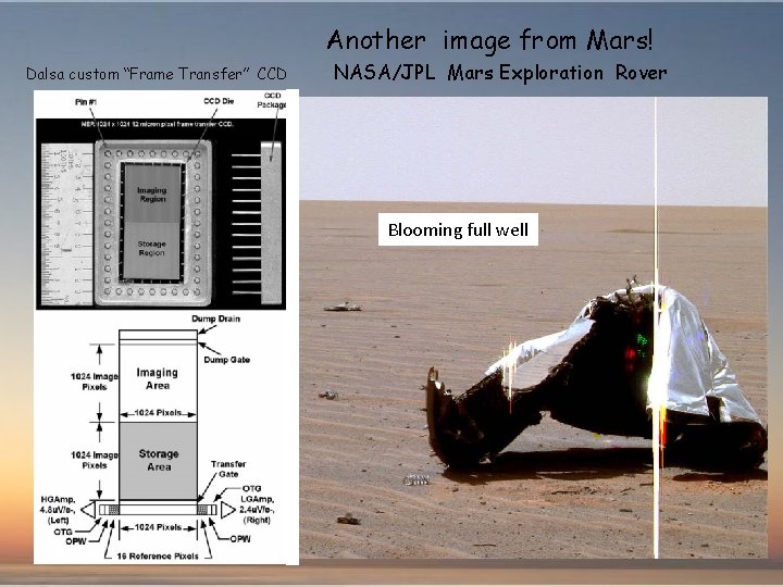 Another image from Mars! Dalsa custom “Frame Transfer” CCD NASA/JPL Mars Exploration Rover Blooming