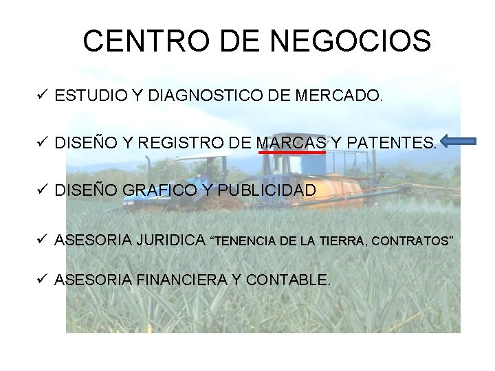 CENTRO DE NEGOCIOS ü ESTUDIO Y DIAGNOSTICO DE MERCADO. ü DISEÑO Y REGISTRO DE