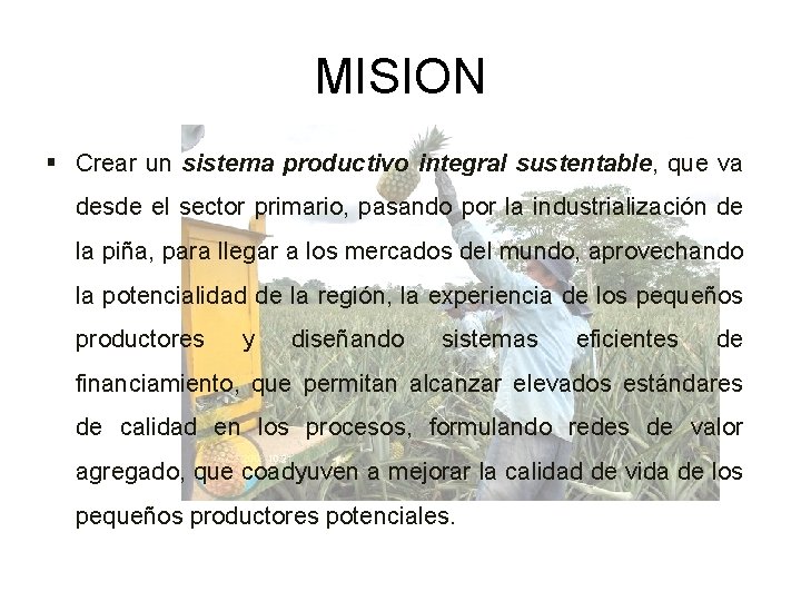 MISION § Crear un sistema productivo integral sustentable, que va desde el sector primario,