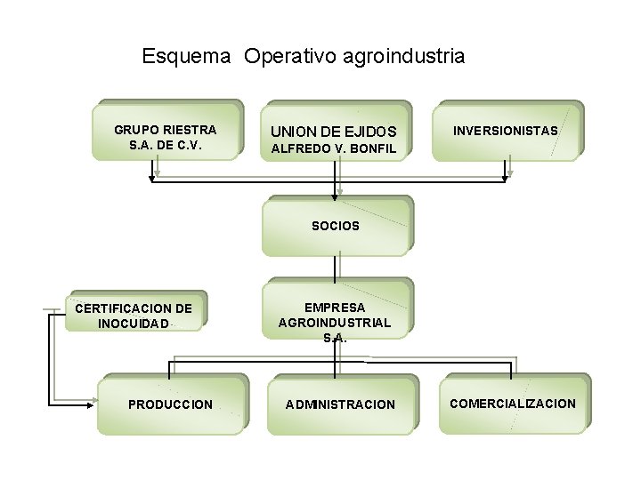 Esquema Operativo agroindustria GRUPO RIESTRA S. A. DE C. V. UNION DE EJIDOS INVERSIONISTAS
