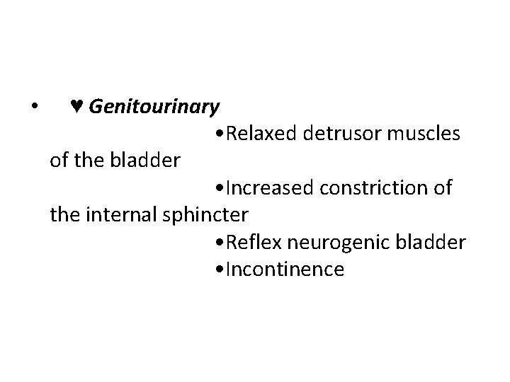  • ♥ Genitourinary • Relaxed detrusor muscles of the bladder • Increased constriction