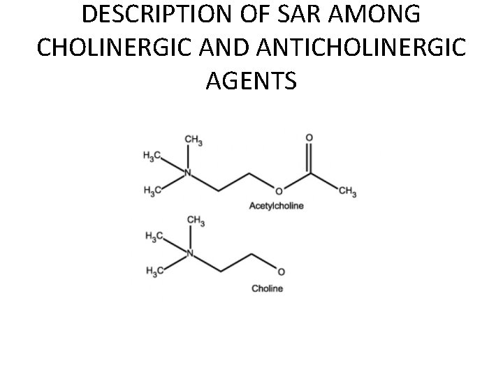 DESCRIPTION OF SAR AMONG CHOLINERGIC AND ANTICHOLINERGIC AGENTS 