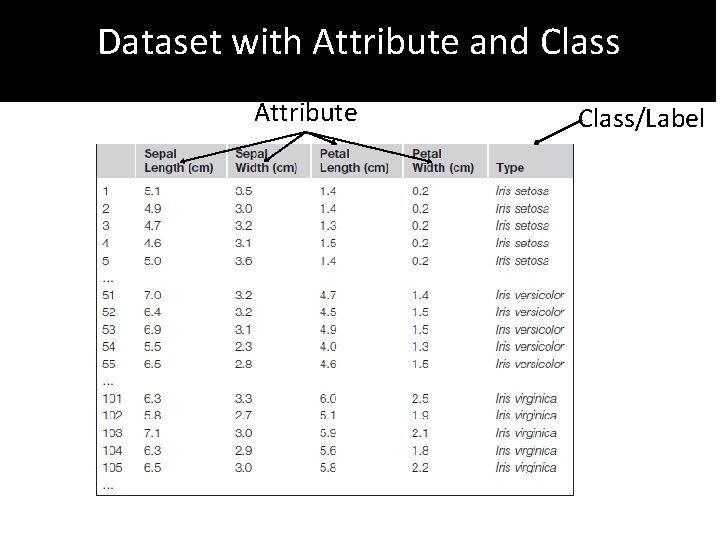 Dataset with Attribute and Class Attribute Class/Label 