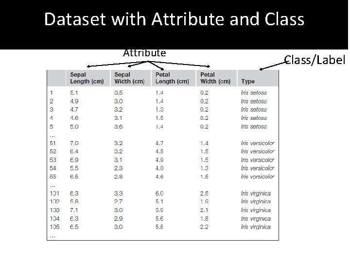 Dataset with Attribute and Class Attribute Class/Label 