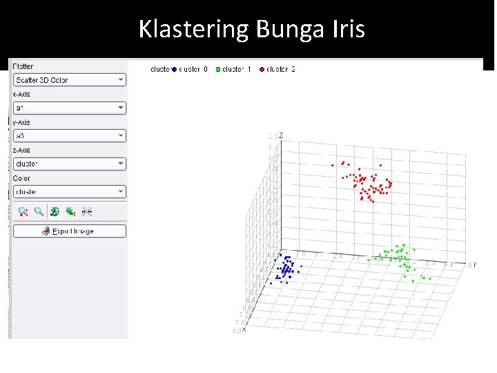 Klastering Bunga Iris 