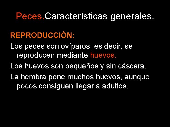 Peces. Características generales. REPRODUCCIÓN: Los peces son ovíparos, es decir, se reproducen mediante huevos.