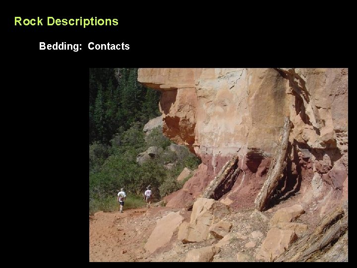Rock Descriptions Bedding: Contacts 
