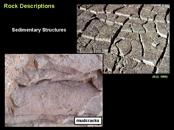 Rock Descriptions Sedimentary Structures (AGI, 1999) mudcracks 