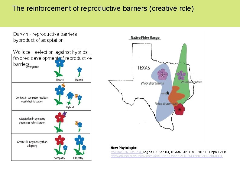The reinforcement of reproductive barriers (creative role) Darwin - reproductive barriers byproduct of adaptation