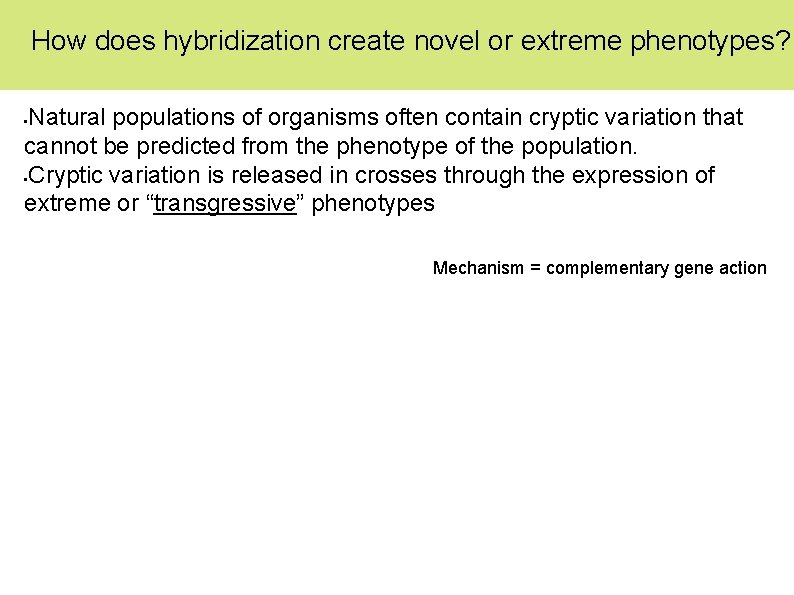 How does hybridization create novel or extreme phenotypes? Natural populations of organisms often contain