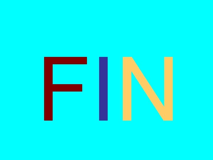 FIN FIN