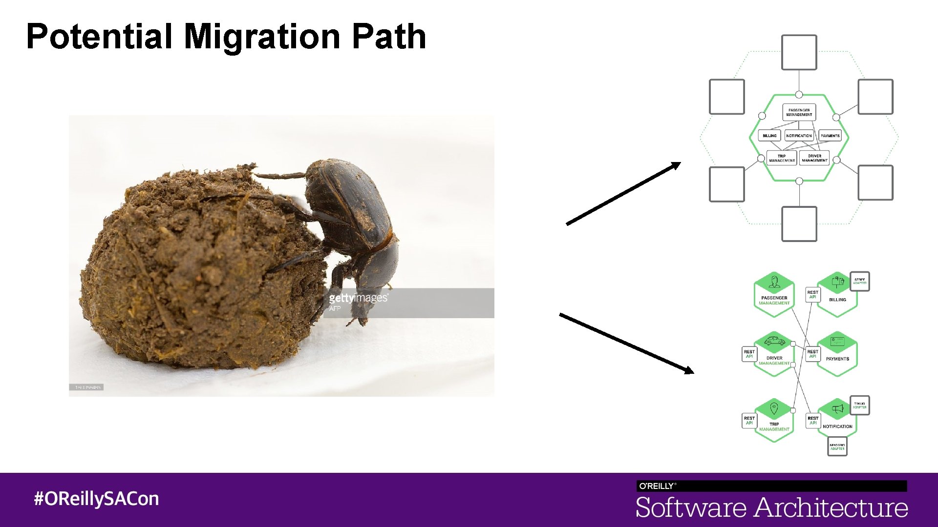 Potential Migration Path 