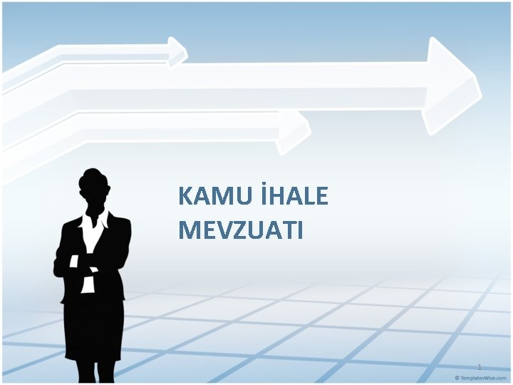 KAMU İHALE MEVZUATI 1 