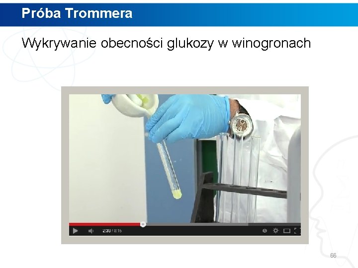 Próba Trommera Wykrywanie obecności glukozy w winogronach 66 