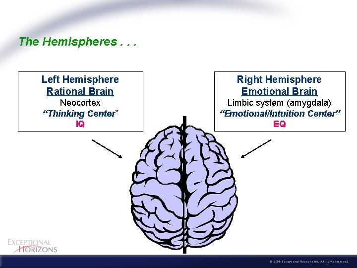 The Hemispheres. . . Left Hemisphere Rational Brain Right Hemisphere Emotional Brain Neocortex “Thinking